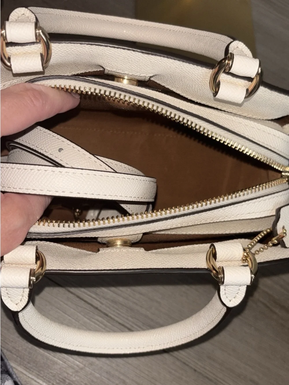 Coach Lillie Carryall Crossbody Handbag